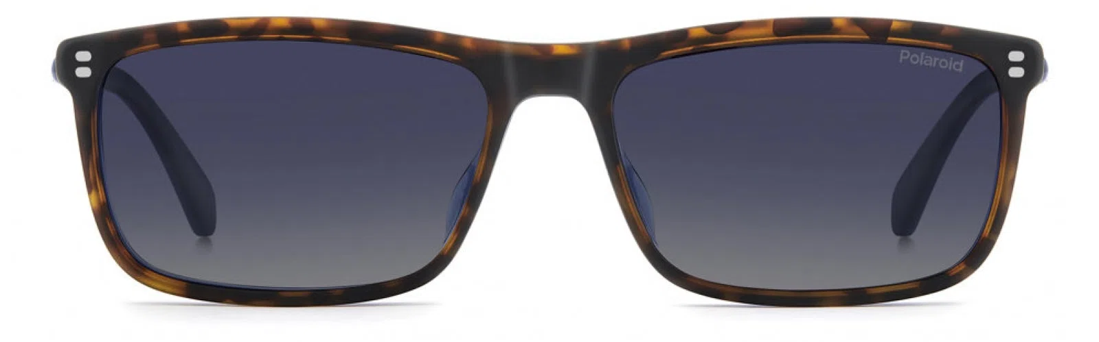 Polaroid Core PLDD639 Eyeglasses - view 4